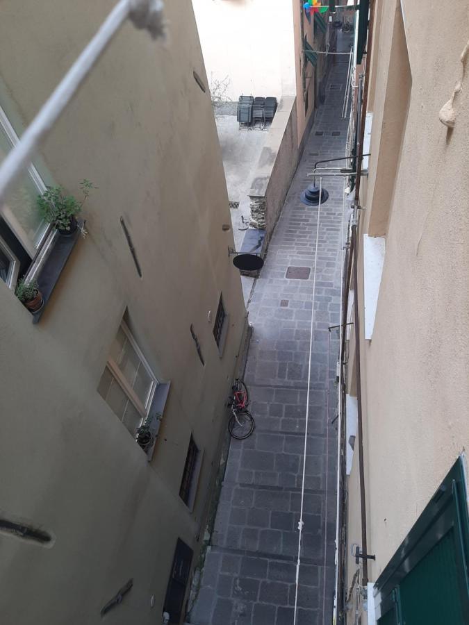 Cozy Coccagna